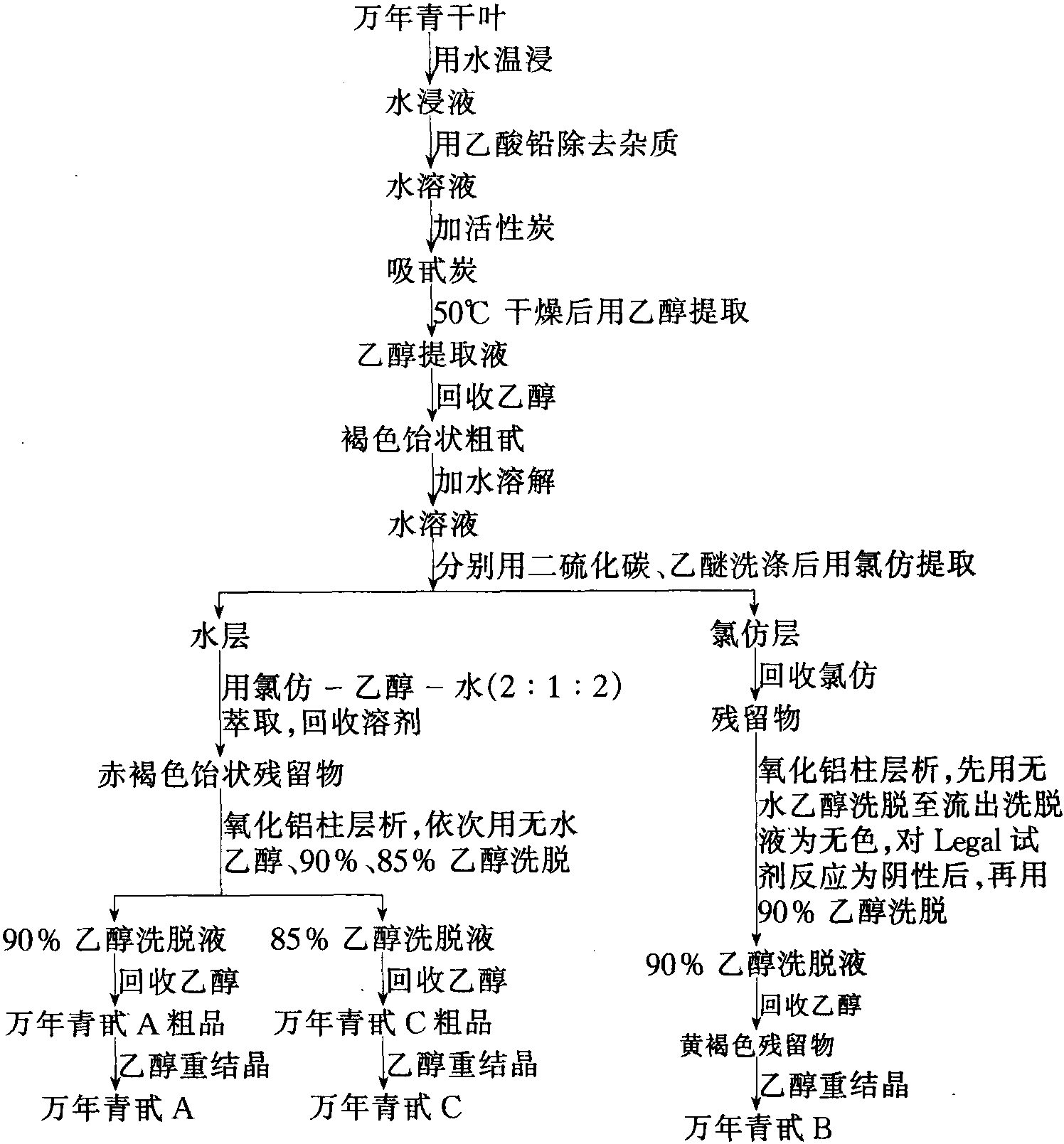 21 萬(wàn)年青